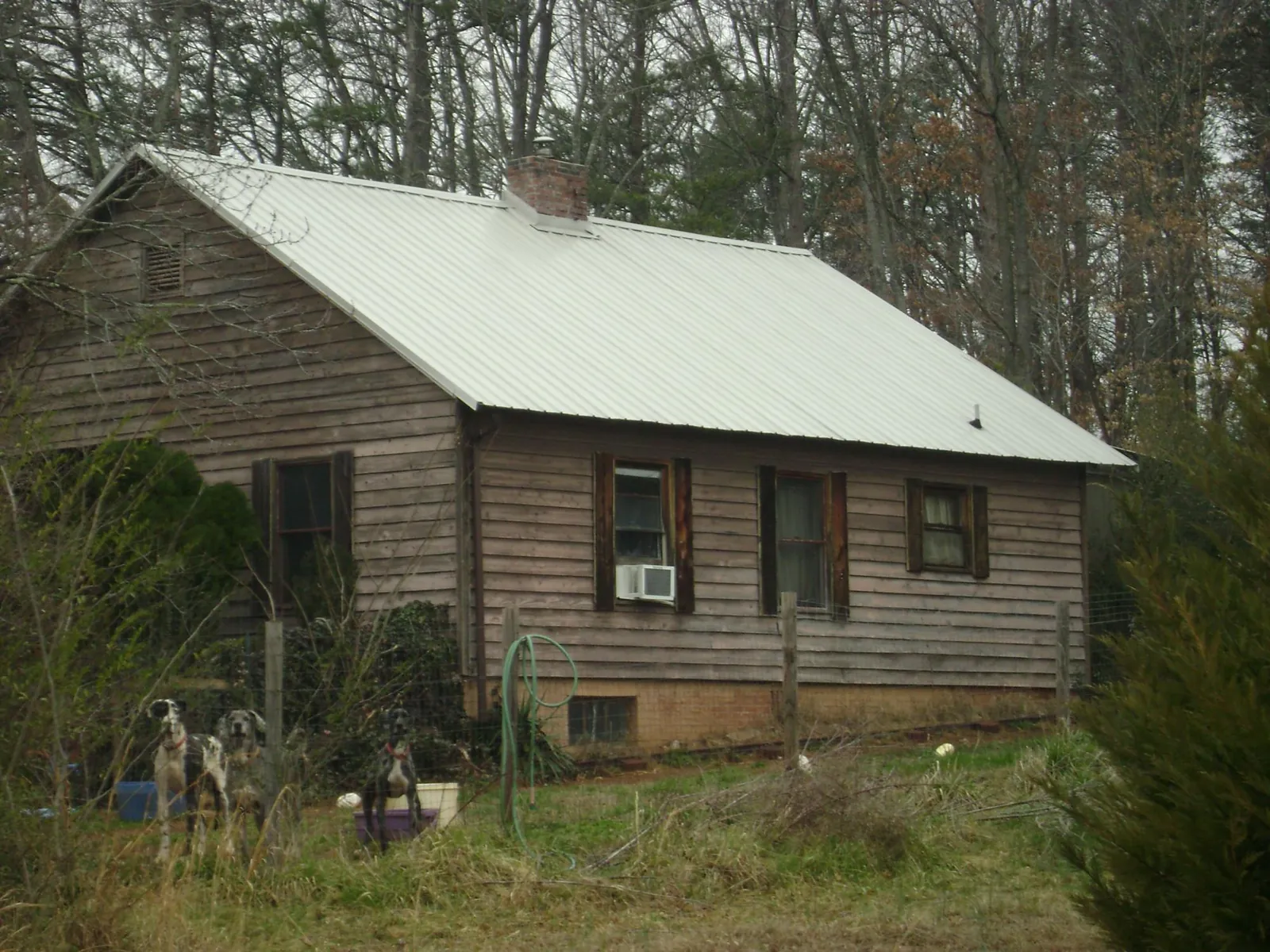White metal roof on an old wood sided farmhouse, from a Asphalt Shingle Roof Repair job in Freedom